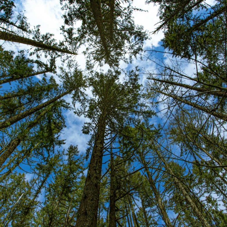 eugene oregon attractions